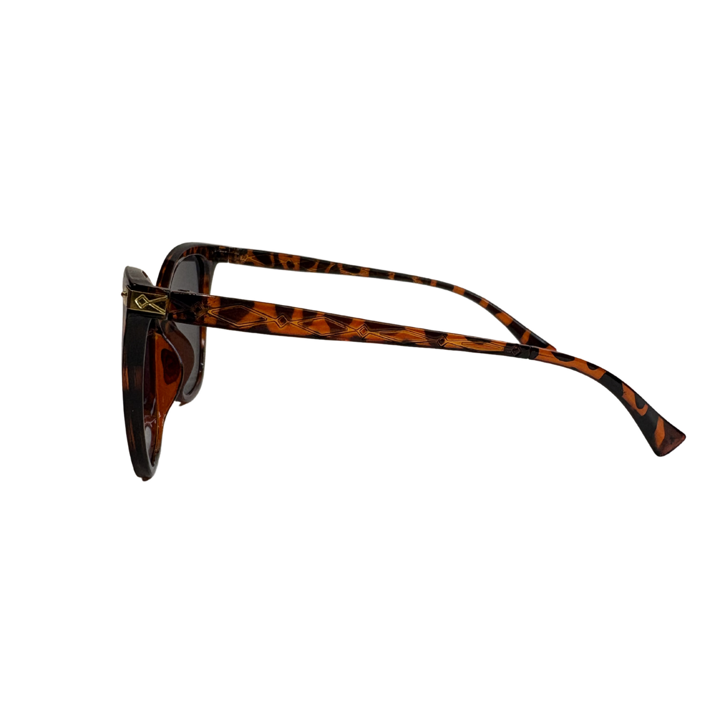Marco de acetato para lentes de sol, modelo 244
